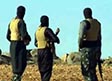 25 Daesh Militants Killed  in Nangarhar Air Strikes